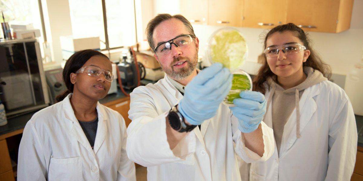 Students and a professor looking at algae samples
