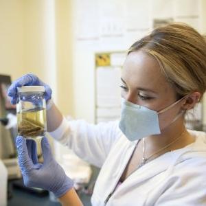 戴着面具的理科生在实验室里和一只装在罐子里的蝾螈