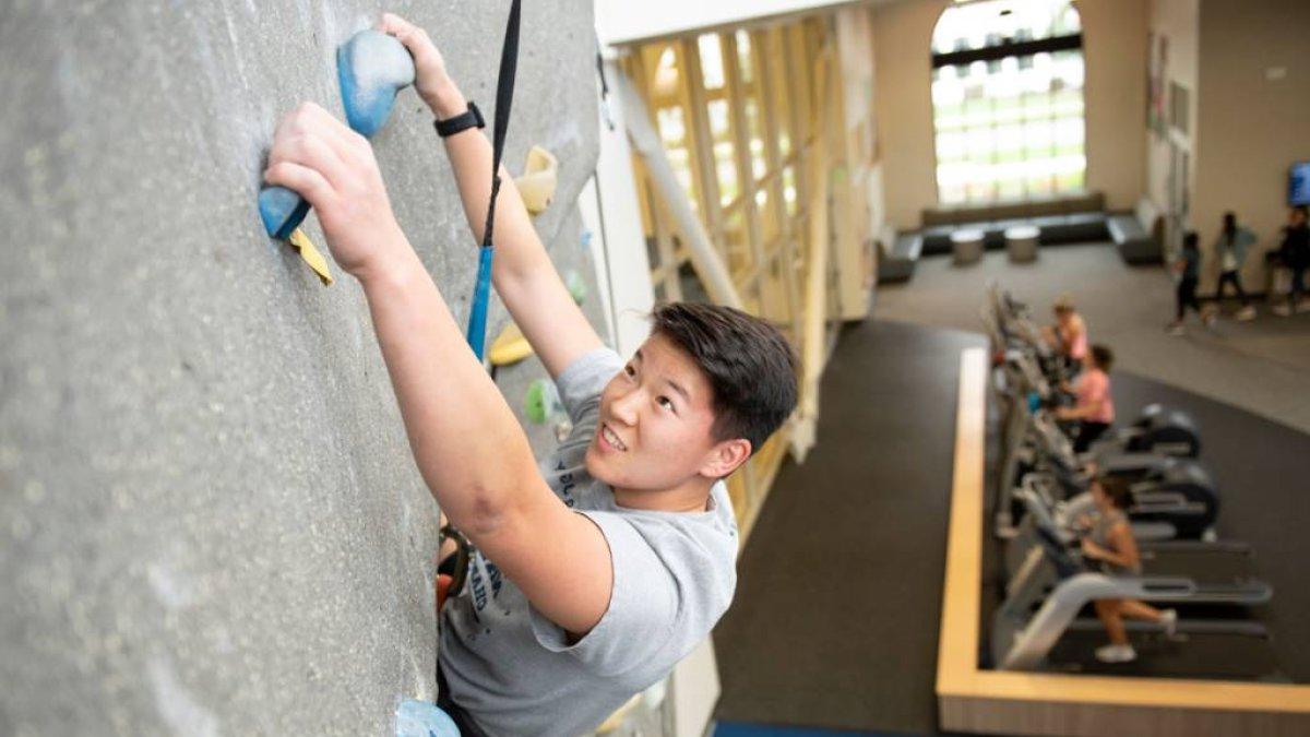 A person rock climbing in a gym